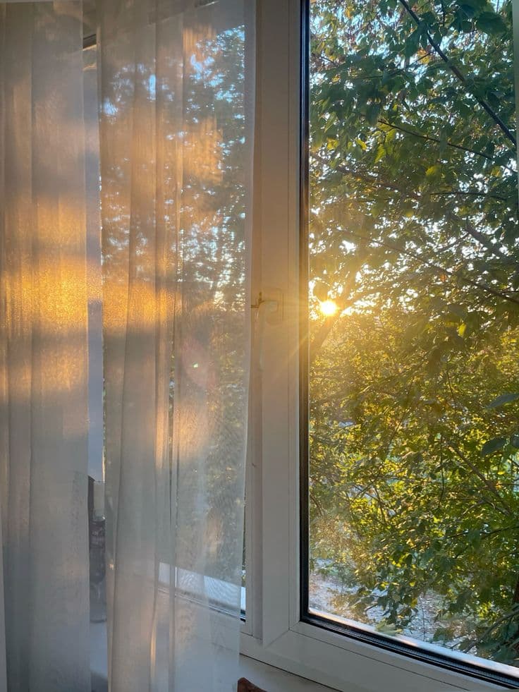 How does morning light affect sleep and energy?
